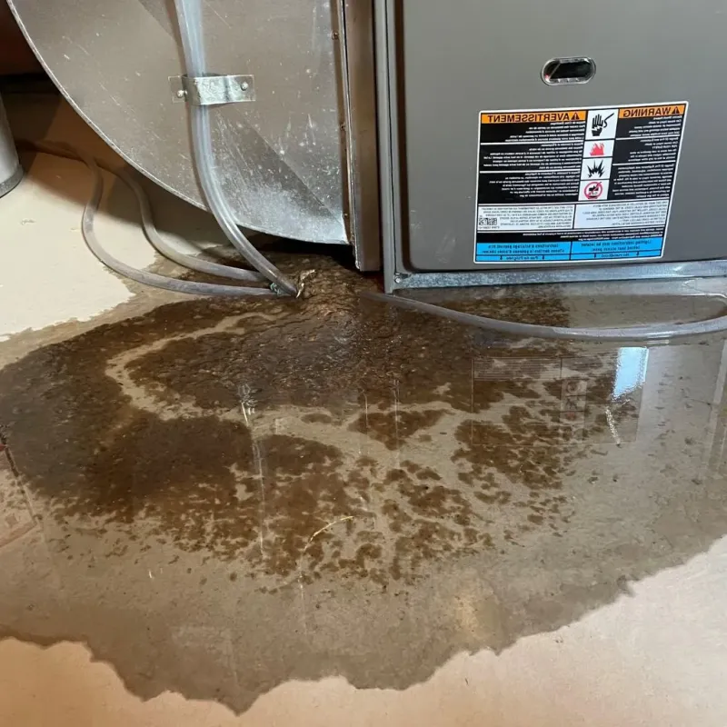 Pipe Burst and Leak Restoration in North Caldwell, NJ
